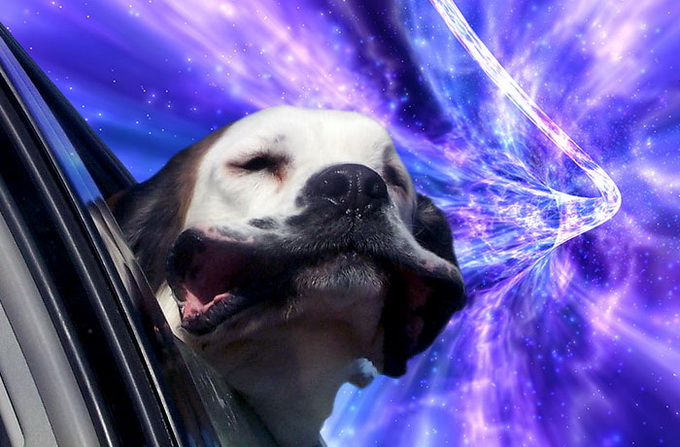 warpdogs4 Warp Dogs in Space by Benjamin Grelle