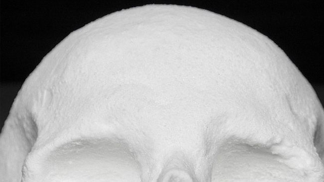 3135 A Life size Human Skull out of Cocaine