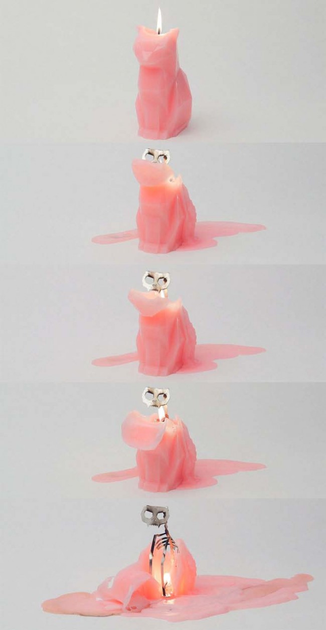 Cat Candles Reveal Gory Skeleton 650x1256 Cat Candles Skeleton