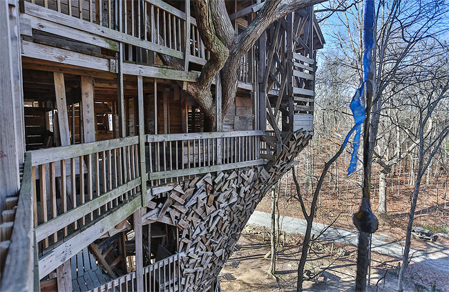13100 Inside the Worlds Biggest Tree House by Horace Burgess