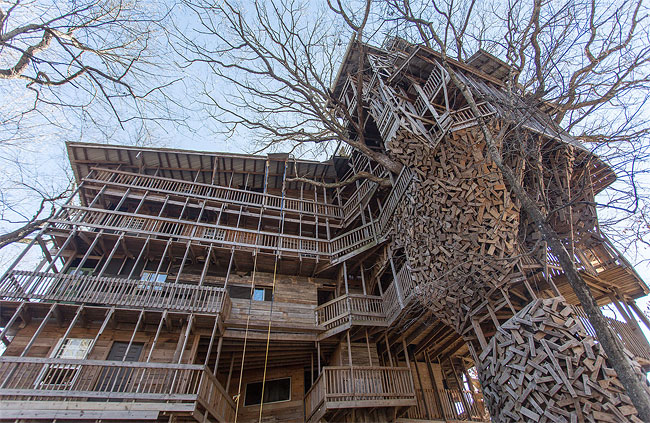 2019 Inside the Worlds Biggest Tree House by Horace Burgess