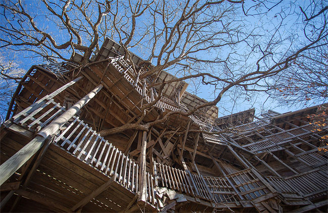 2245 Inside the Worlds Biggest Tree House by Horace Burgess