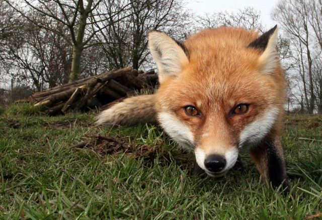 Digital art selected for the Daily Inspiration #1713