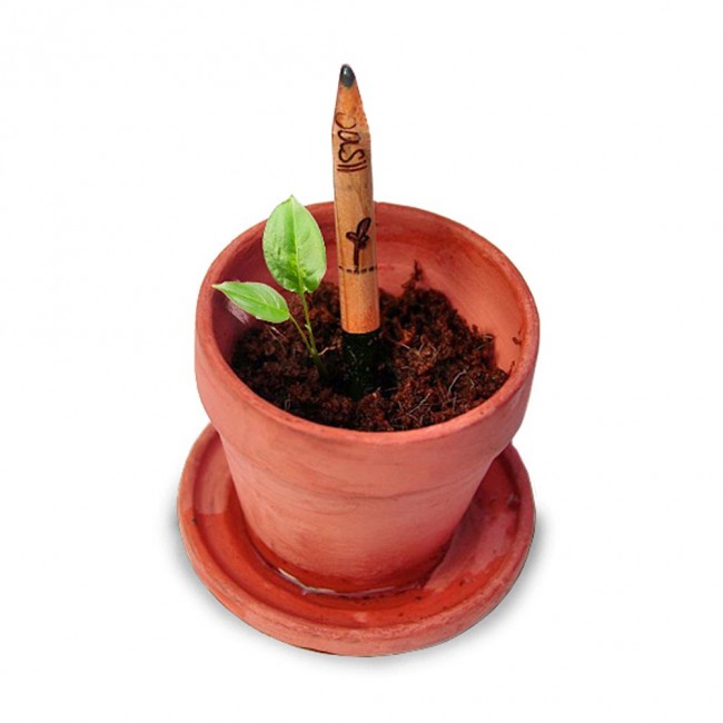 plantable pencil 01 650x650 Plantable Herb Pencils