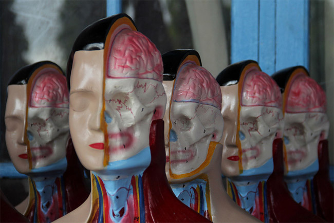 845 Indonesias Medical Mannequin Industry