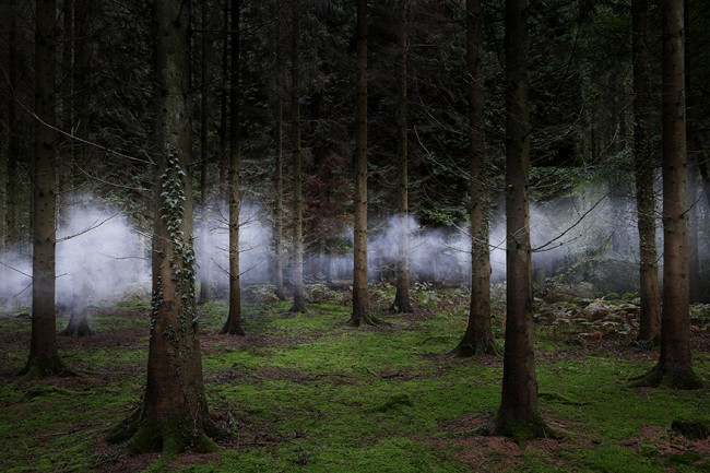 Digital art selected for the Daily Inspiration #1739