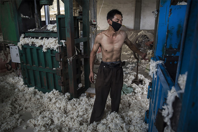1172 Chinese Workers Prepare Australian Sheeps Wool for Fashion Industry