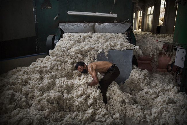 2120 Chinese Workers Prepare Australian Sheeps Wool for Fashion Industry