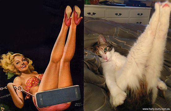 Cat Like Pin up Girls 4 20 Popular Cute Cats Posing Like Pin up Girls
