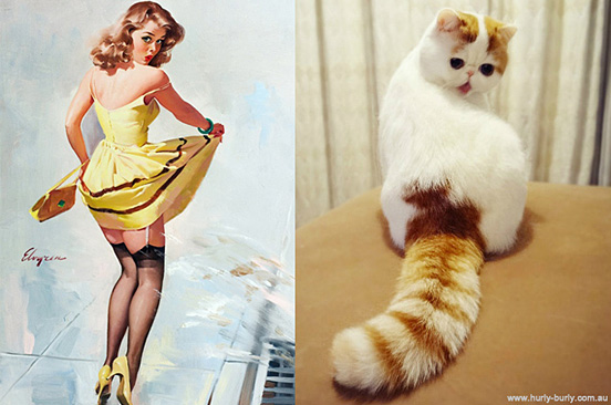 Cat Like Pin up Girls 6 20 Popular Cute Cats Posing Like Pin up Girls