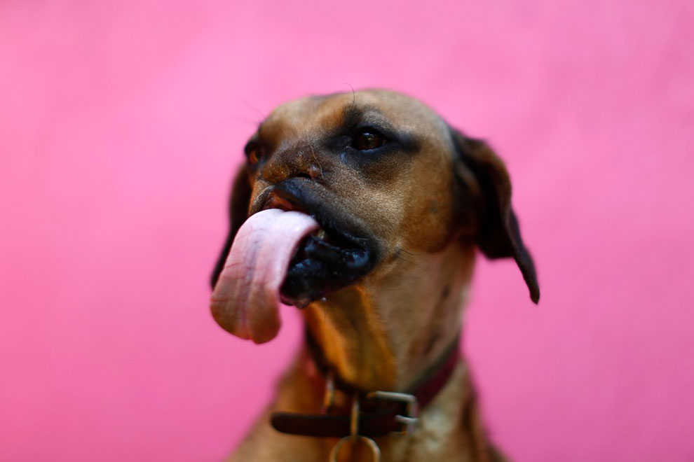 Digital art selected for the Daily Inspiration #1864