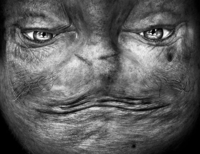 Alienation Upside Down Portraits Make People Look Like Aliens 2014 02 650x502 Alienation   Upside Down Portraits Make People Look Like Aliens
