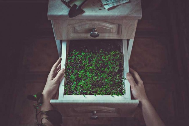 Digital art selected for the Daily Inspiration #1863