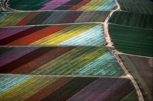 Digital art selected for the Daily Inspiration #1908