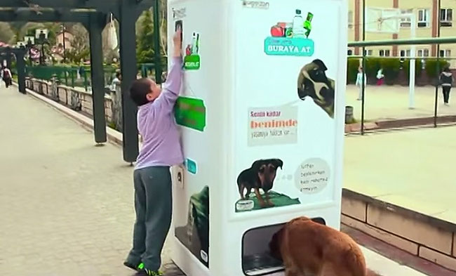 This Ingenious Vending Machine Feeds Homeless Animals