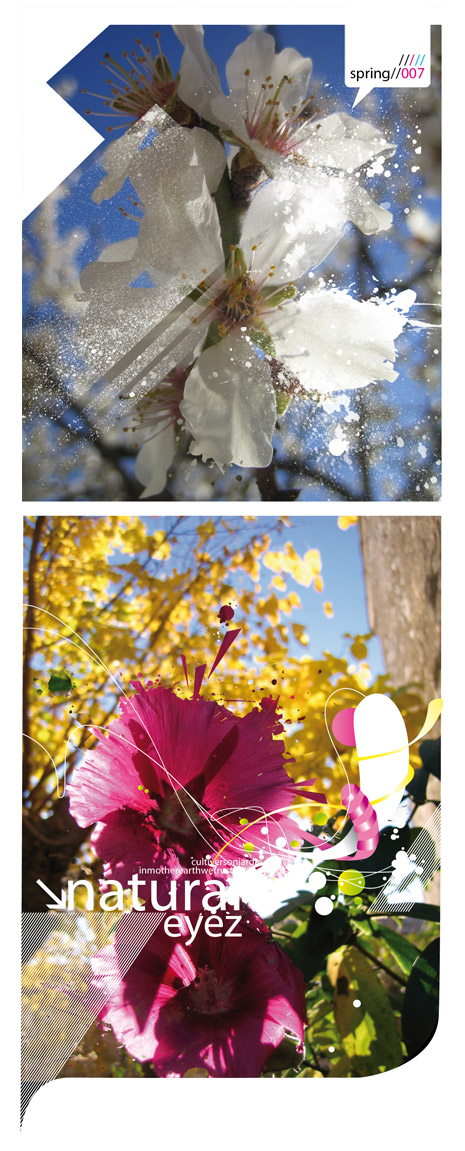 flowerz fleur flowerz