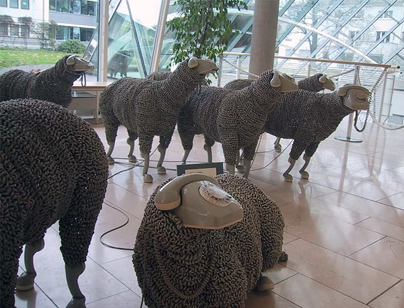 Sheep are Tended by a Shepherd sheep Sheep are Tended by a Shepherd