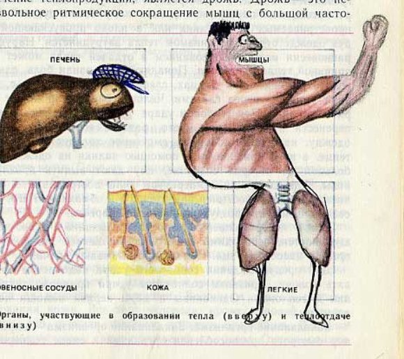 3285317691 5aeb4bab37 o Biology Drawings