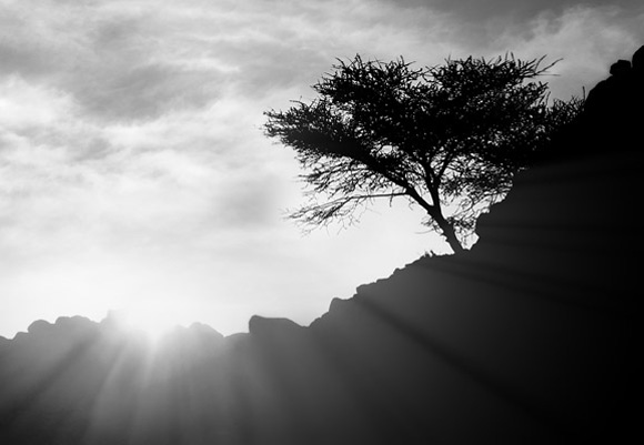 3 09 Sinai