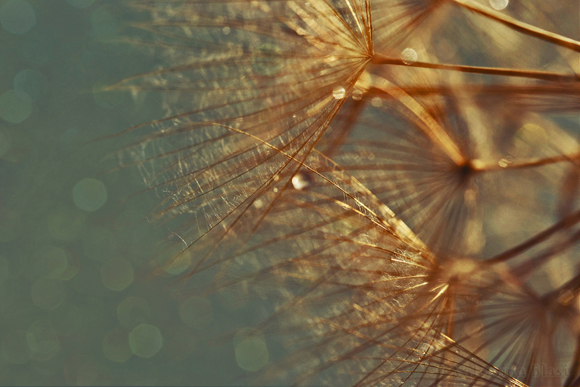 Controluce by Amersill pic on Design You Trust Controluce by Amersill Valentina Blasi