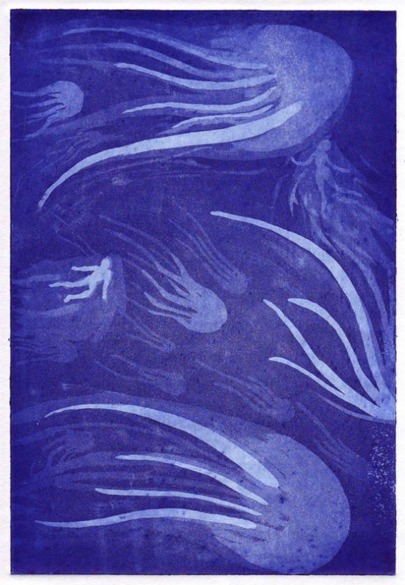 aquatint jellyfish pic on Design You Trust aquatint jellyfish Swimming With Cnidaria