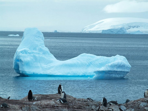 at1 Wonderful Antarctica Landscapes