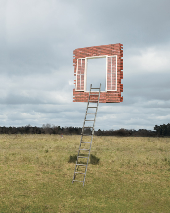 cover Window and Ladder