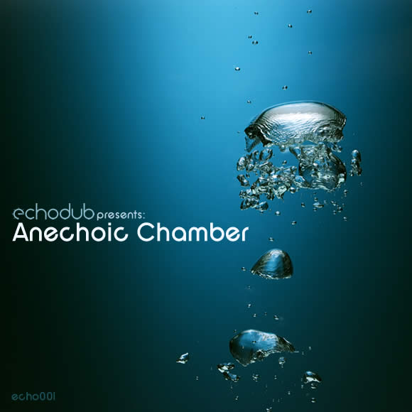 echo001 01 Echodub label giving away 20 beautiful tracks for nothing!