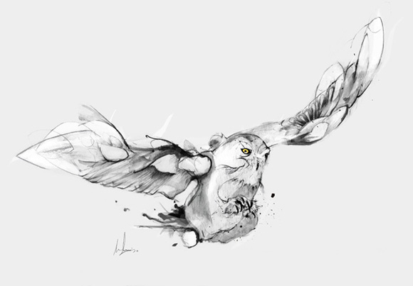 03