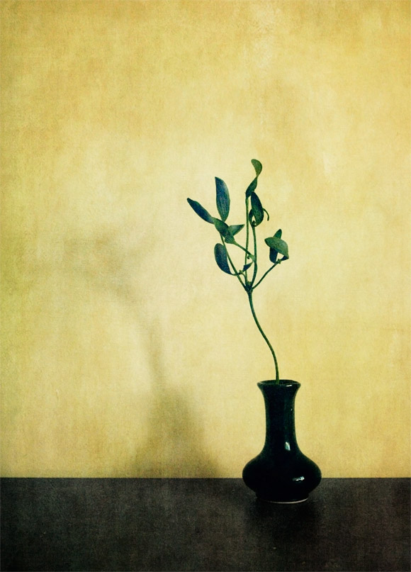 2culori 03 pic on Design You Trust 2culori 03 conceptual still life photography
