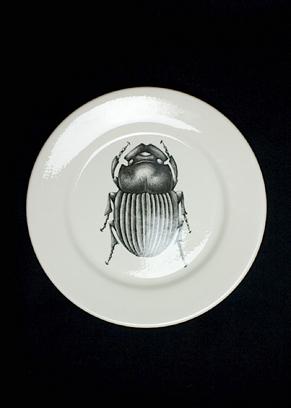 37445 1jpg pic on Design You Trust 37445 1jpg Insects