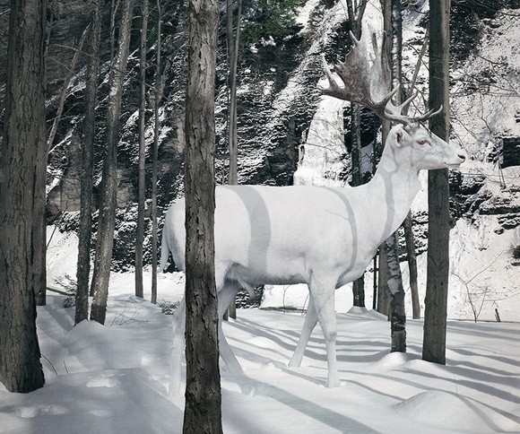 Copyofasfasfgwegsg Photographer Simen Johan