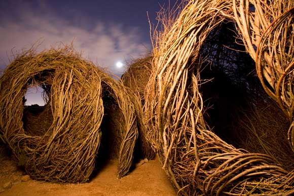 PatrickDohertydyt pic on Design You Trust PatrickDohertydyt Patrick Dougherty