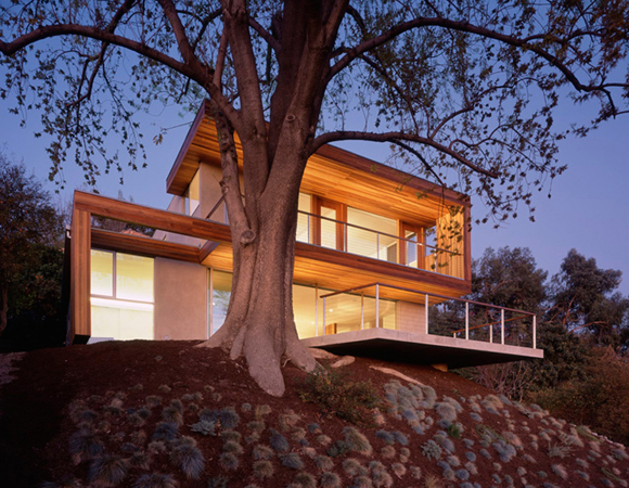 StandardTreeHouse1 pic on Design You Trust StandardTreeHouse1 Tree House