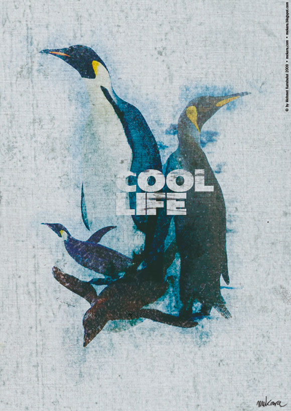 coollifedyt 02 pic on Design You Trust coollifedyt 02 Strong & Cool Life