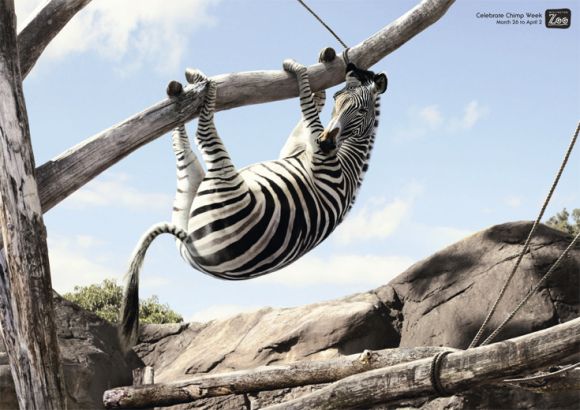 electricartagency Electric Art   Retouching Agency