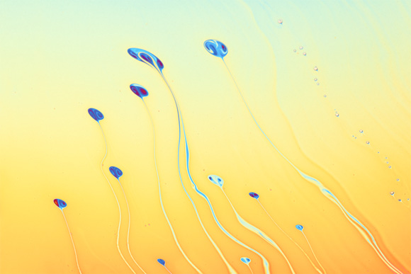 magicdyt pic on Design You Trust magicdyt A kind of magic : Photography of soap bubbles