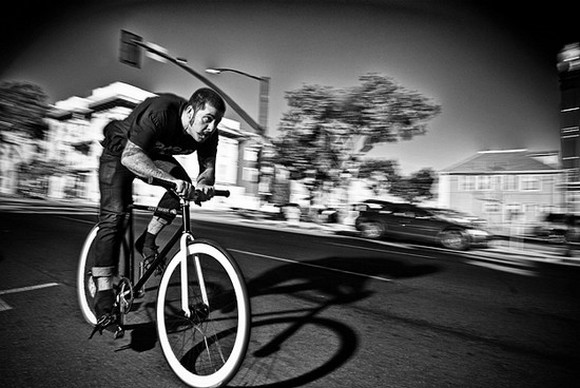 matt lingo Matt Lingo photographer