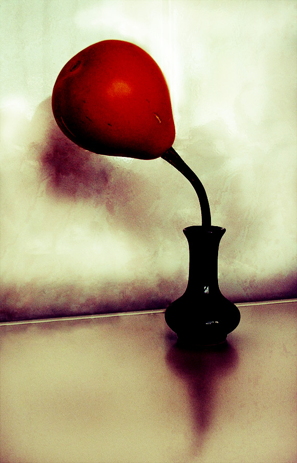 one thing 01 pic on Design You Trust one thing 01 conceptual still life photography