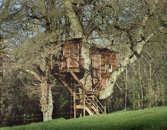 tree2 Your House on Trees? Yes, Its Possible!