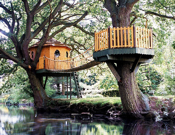 tree8 Your House on Trees? Yes, Its Possible!