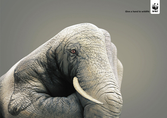 wwfelephant small give a hand to wildlife campaign