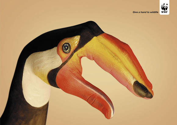 wwftoucan small give a hand to wildlife campaign