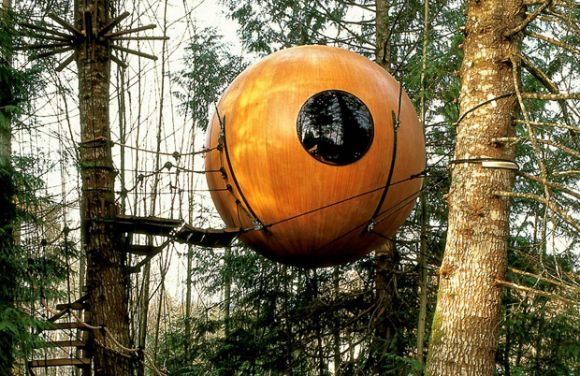 3106 5e4276b91afe0e67e789041b65e11be8 pic on Design You Trust 3106 5e4276b91afe0e67e789041b65e11be8 New Treehouses of the World