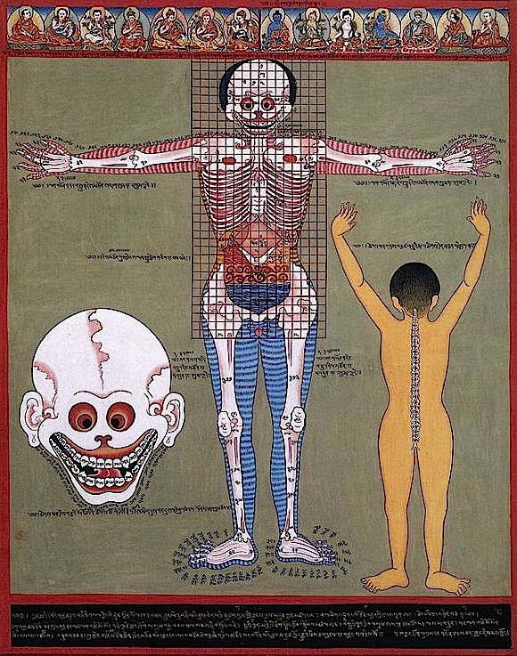 3750372688 c5dd62571a b pic on Design You Trust 3750372688 c5dd62571a b Anatomical Drawings