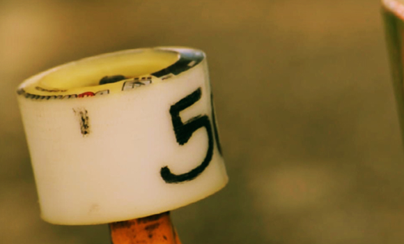 50mm Downhillslide from Brazil by 123jaera 50mm 50mm Downhillslide from Brazil by 123jaera