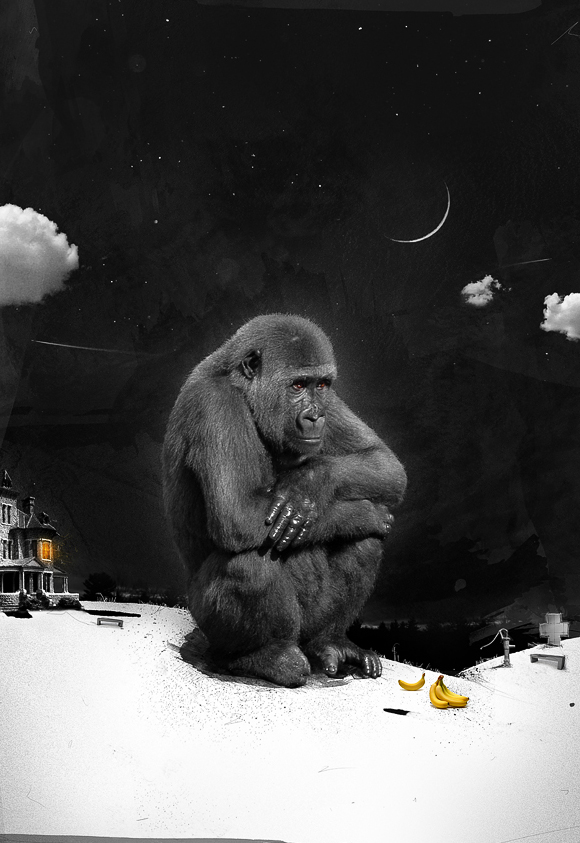 Far Away From Home Far Away From Home by dr4oz Far Away From Home