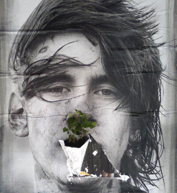 PPP August pic on Design You Trust PPP August Favorite Poster Pocket Plant