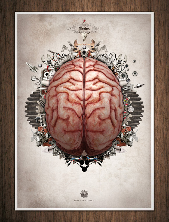 Brain