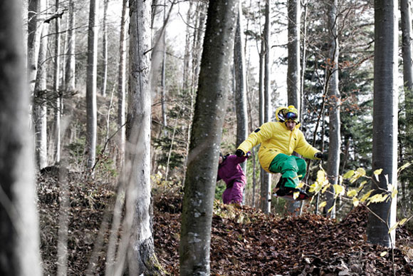 action 43k0538 11 Zimtstern Leaves   Snowboarding on Leaves